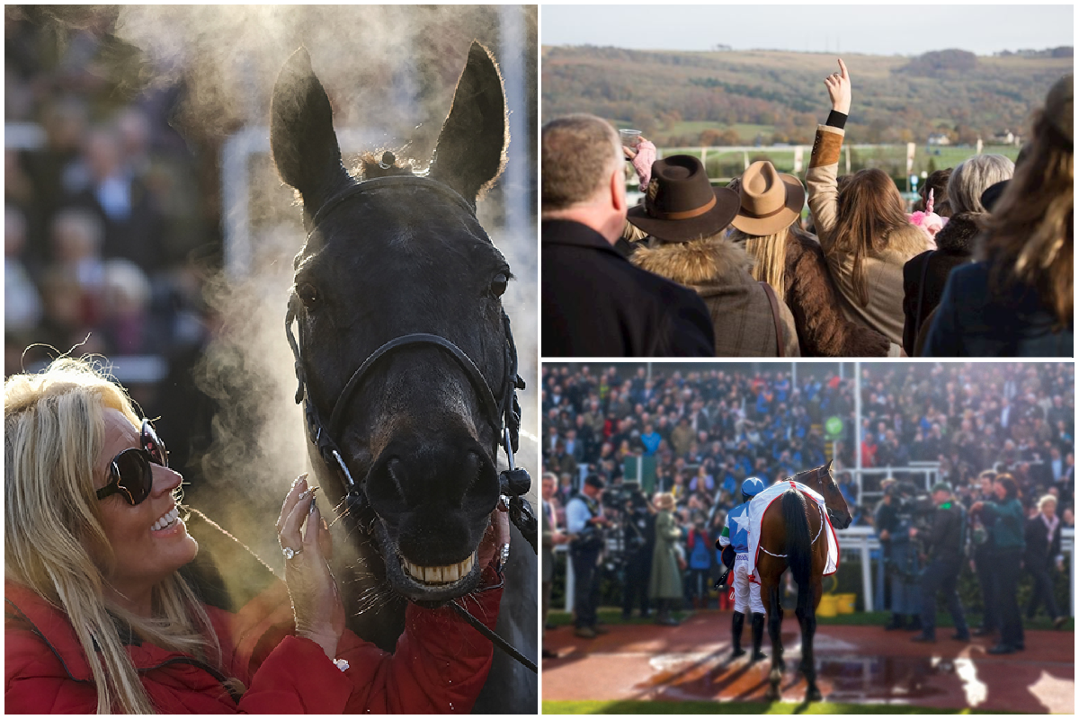 Cheltenham  Races at Christmas 